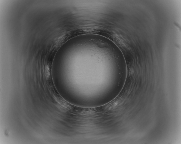 X0000096681106200802051239