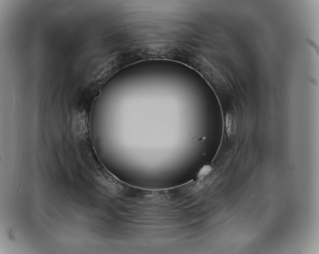 X0000096681107200802051239
