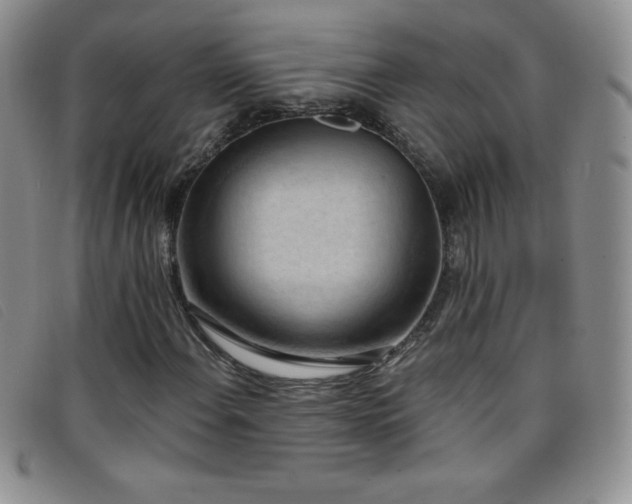 X0000096681108200802051239