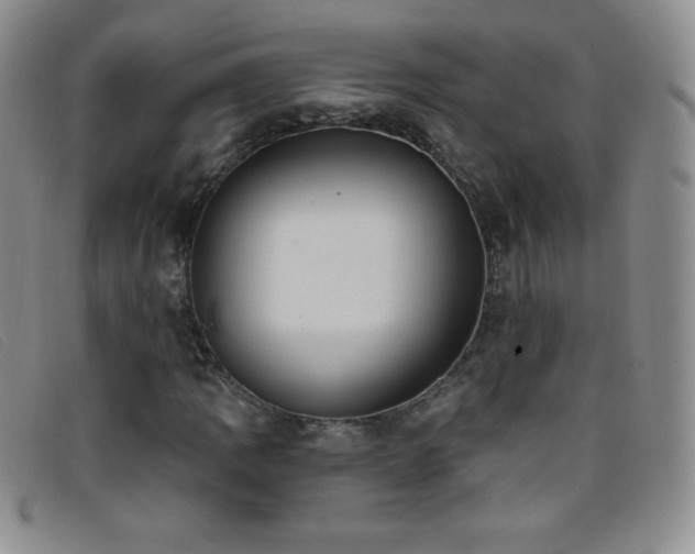 X0000096681109200802051239
