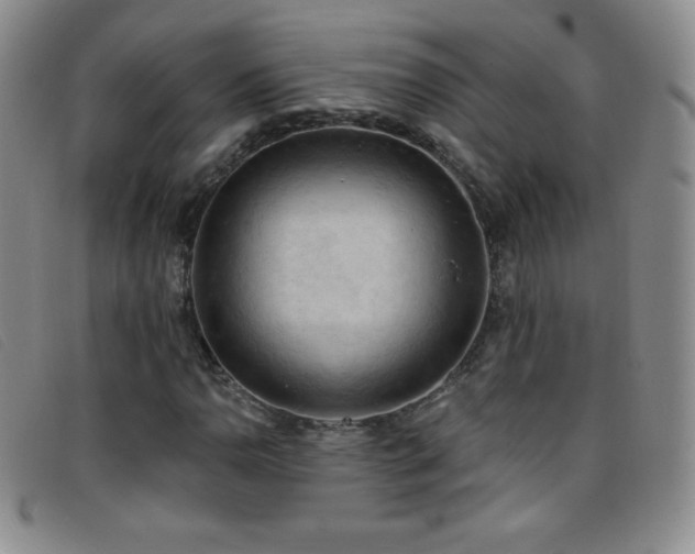 X0000096681110200802051239