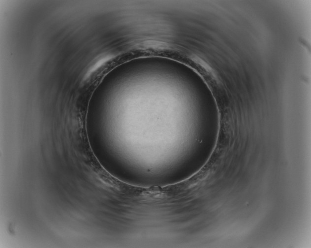 X0000096681112200802051239