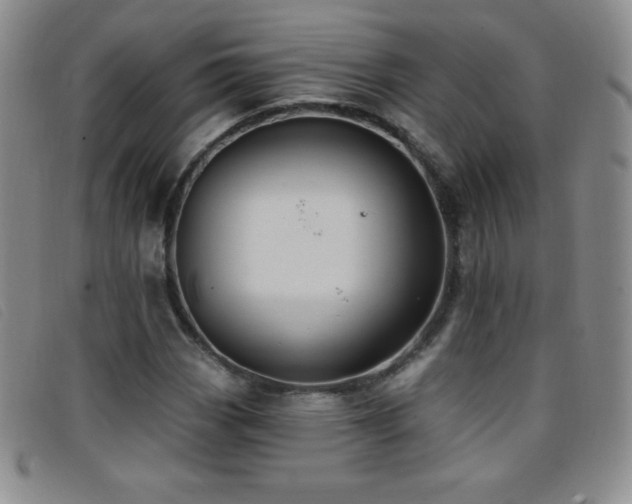 X0000096681113200802051239