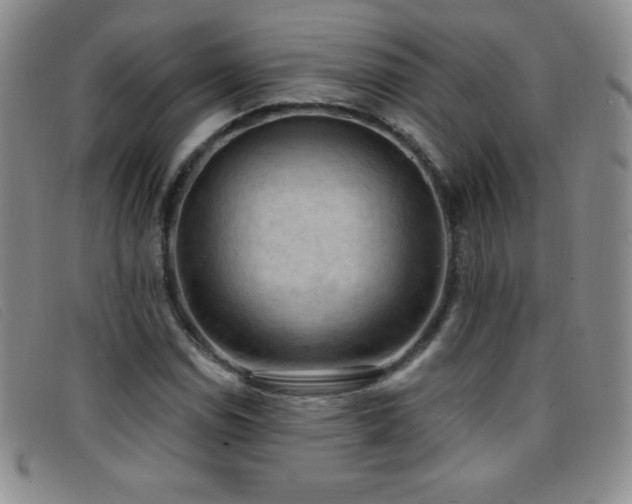 X0000096681114200802051239