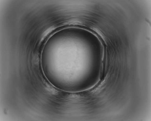 X0000096681115200802051239
