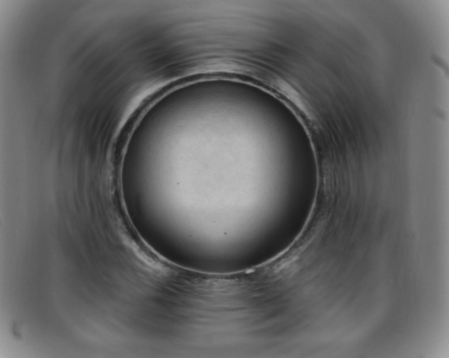 X0000096681116200802051239