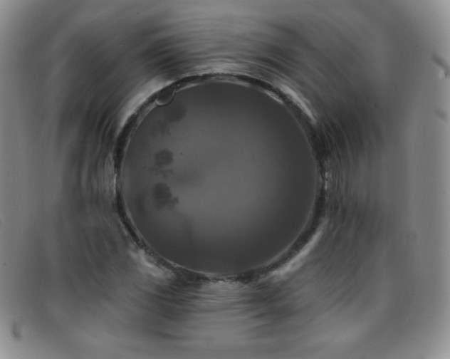 X0000096681117200802051239