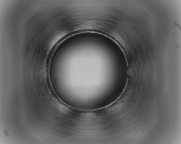 X0000096681119200802051239