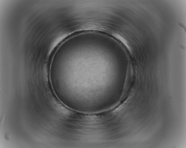 X0000096681120200802051240