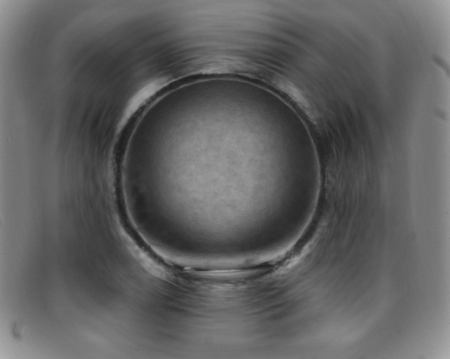 X0000096681122200802051240