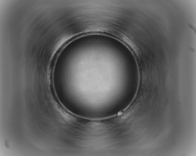X0000096681124200802051240