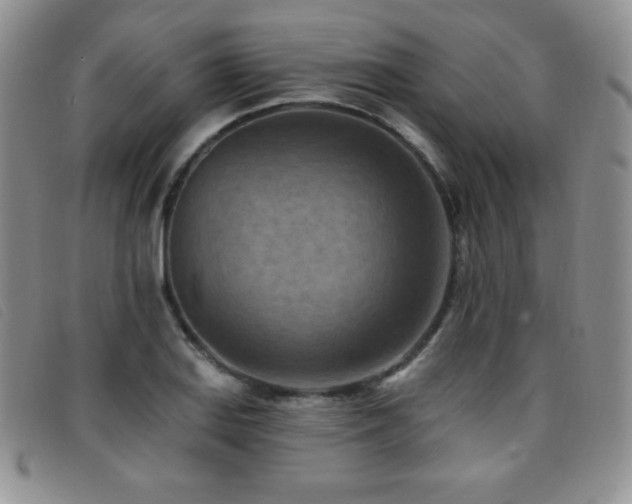 X0000096681127200802051240