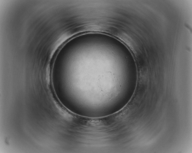 X0000096681128200802051240