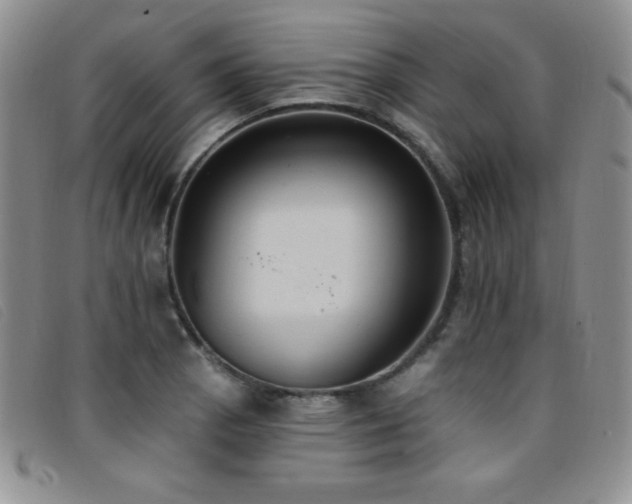 X0000096681129200802051240