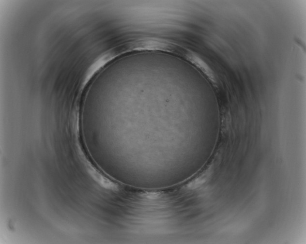 X0000096681130200802051240