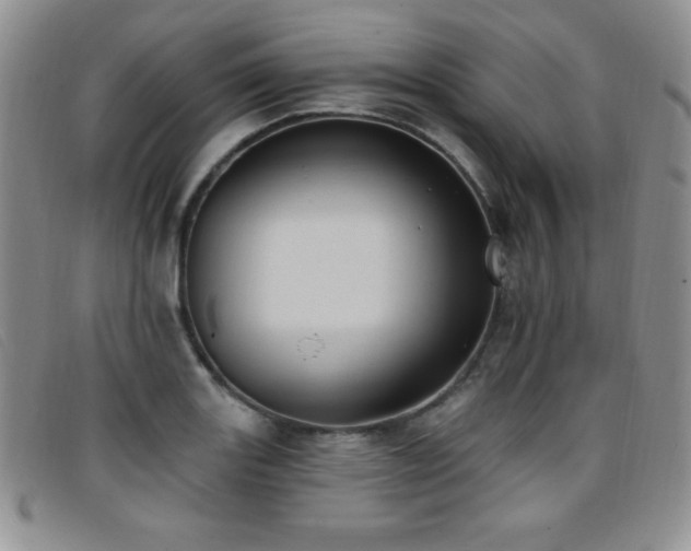 X0000096681131200802051240