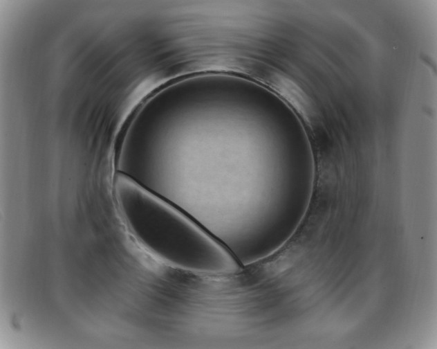 X0000096681132200802051240