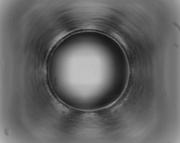 X0000096681133200802051240