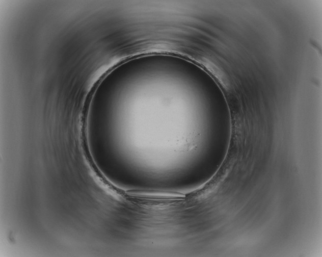 X0000096681134200802051240