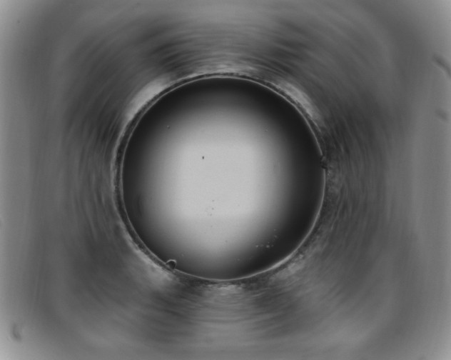 X0000096681135200802051240