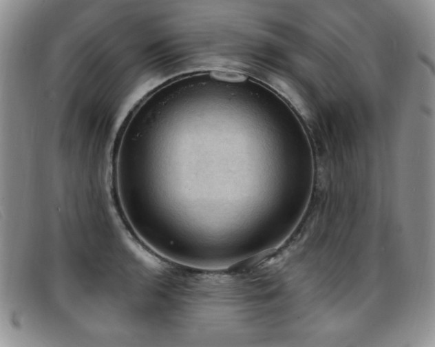 X0000096681136200802051240