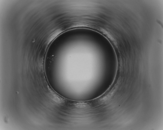 X0000096681137200802051240
