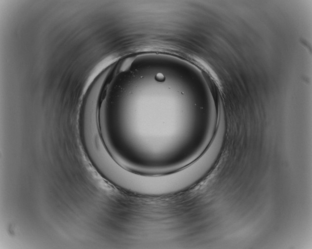 X0000096681138200802051240