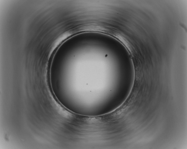 X0000096681139200802051240