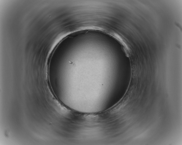 X0000096681140200802051240