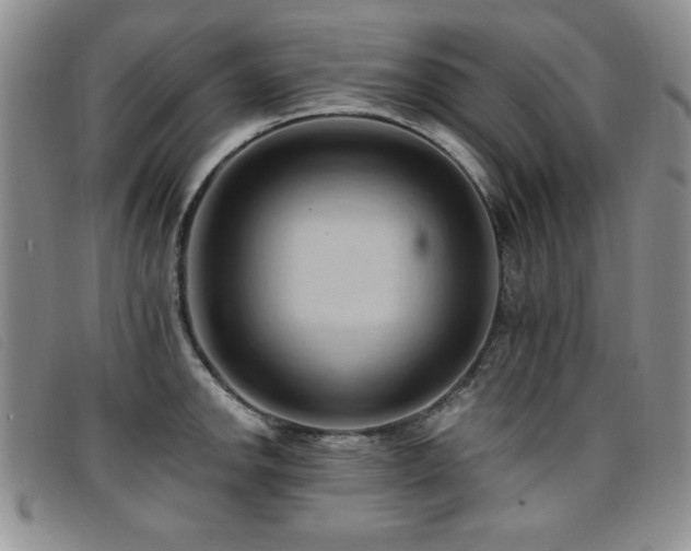 X0000096681142200802051240