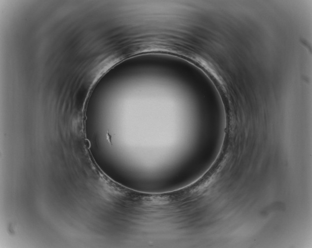 X0000096681145200802051240