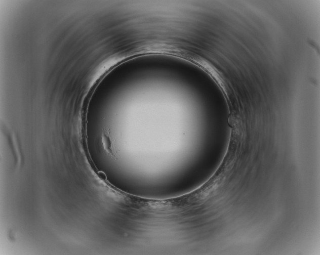 X0000096681147200802051240