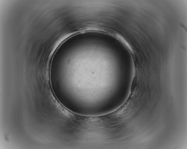 X0000096681148200802051240