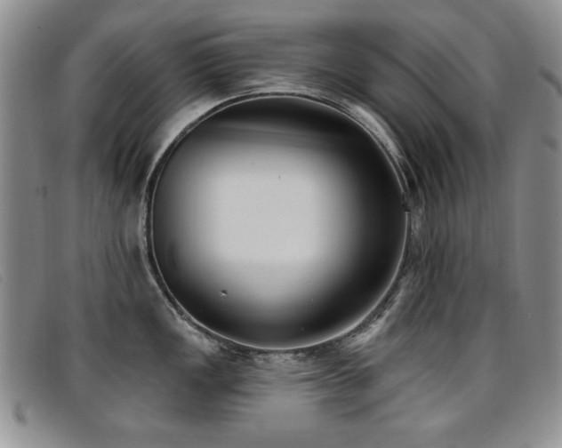 X0000096681149200802051240