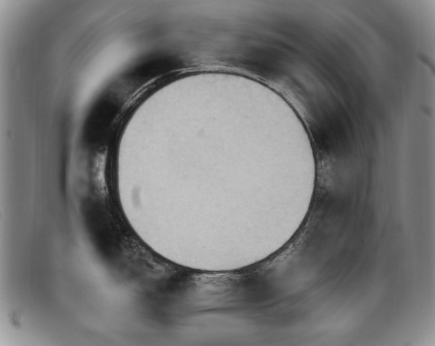 X0000096681150200802051240