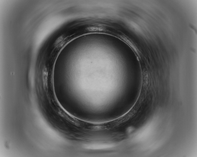 X0000096681151200802051240