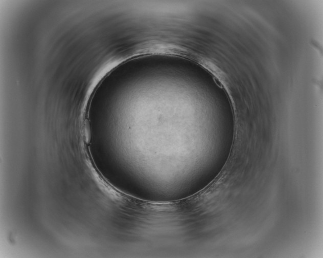 X0000096681152200802051240