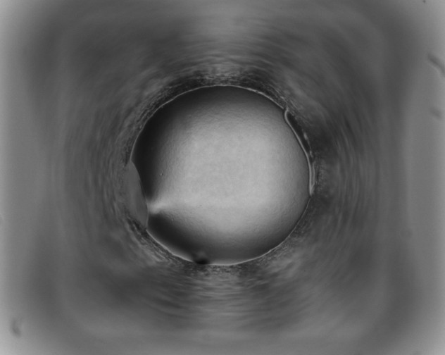 X0000096681153200802051239