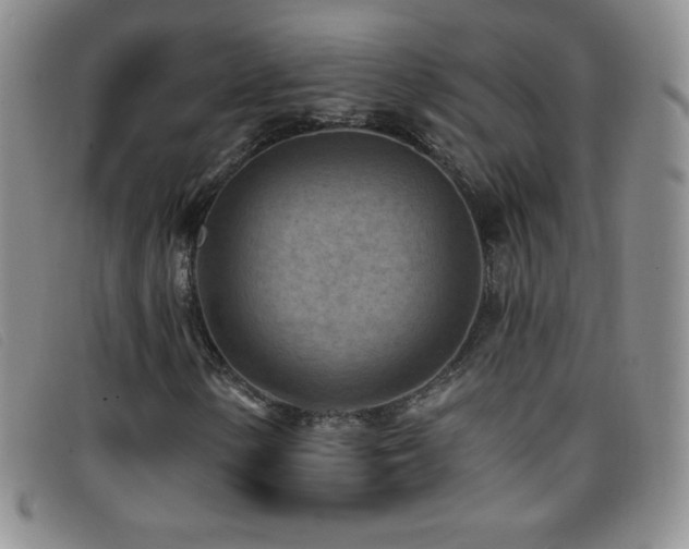 X0000096681154200802051239