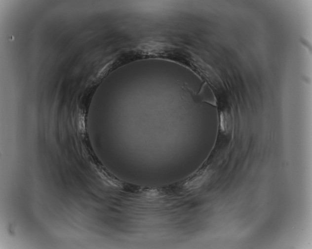 X0000096681155200802051239