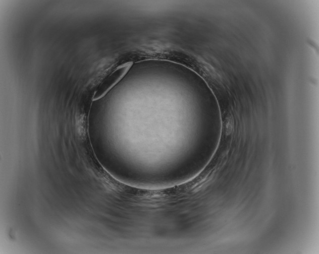 X0000096681156200802051239