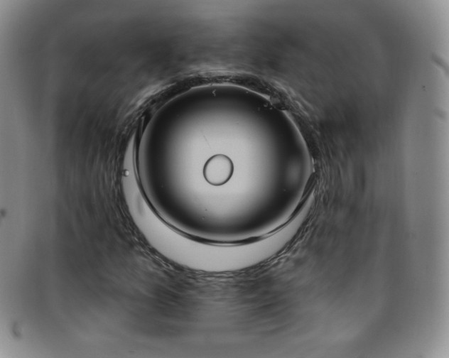 X0000096681157200802051239