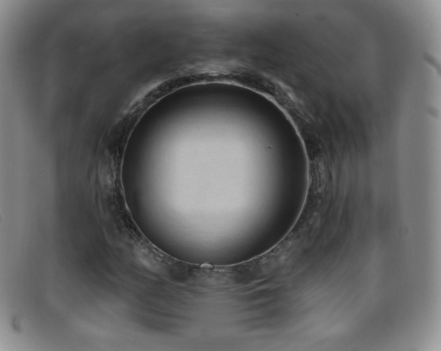 X0000096681158200802051239