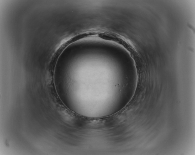 X0000096681160200802051239