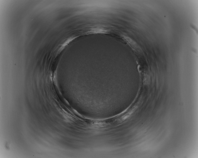 X0000096681161200802051239