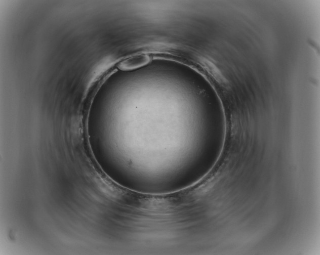 X0000096681164200802051239
