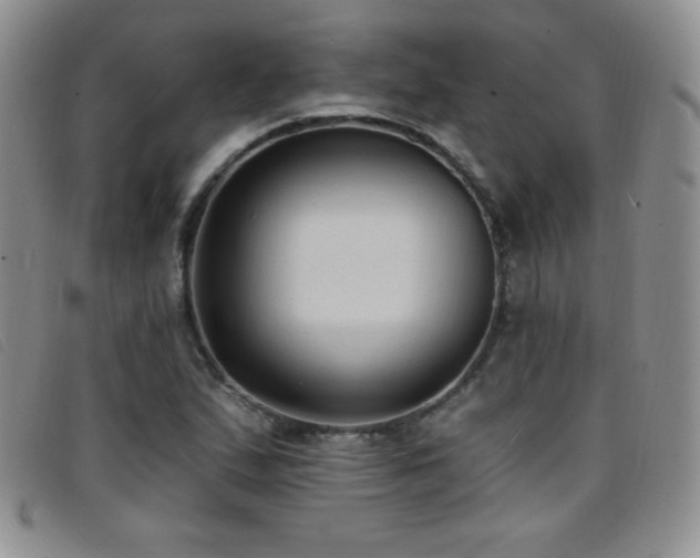 X0000096681167200802051239