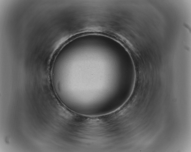 X0000096681168200802051239