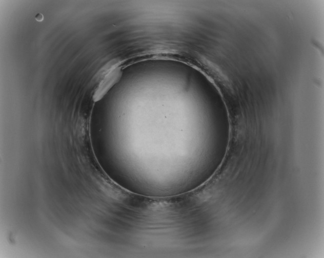 X0000096681169200802051239