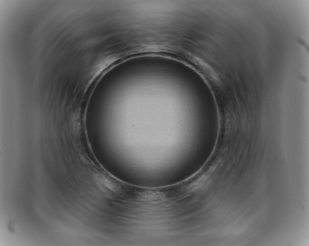 X0000096681170200802051239